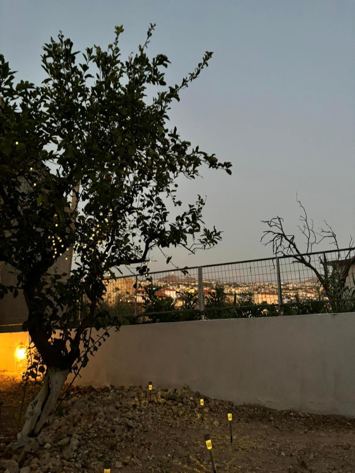 Bibliotheque Vintage & Easy Garden Heraklion (Crete)